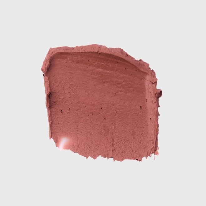 lip+cheek stick never shy