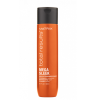 tr_mega_sleek_shampoo_2018[1]