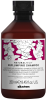 REPLUMPING_SHAMPOO_2[1]