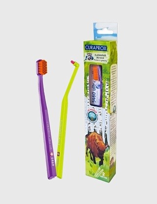 набор краснокнижные животные "европейский зубр"  