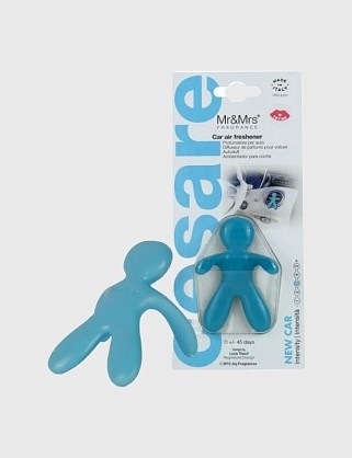 ароматизатор для автомобиля/ cesare блтр/ небесный/ new car/ новая машина