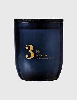 ароматизированная свеча pgp №3 с нотами табака, корицы и ванили,170 мл