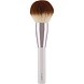 кисть the powder brush