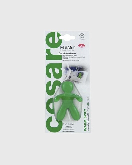 ароматизатор для автомобиля/ cesare блтр/ зеленый/ warm spicy/ специи
