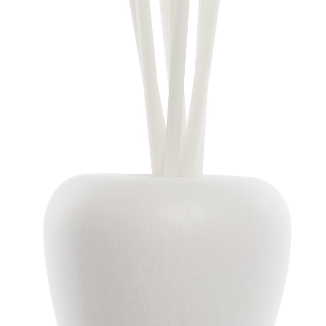 аромадиффузор 250 мл /blanc/аромат №21 papaya do brasil/ бразильская папайя