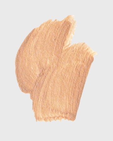 Устойчивая основа под макияж MATTE COVERAGE FOUNDATION (2.5 fair plus)